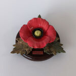 Red poppy