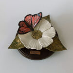 Butterfly on a White Flower
