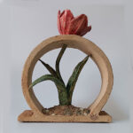 Tulipa Cypria